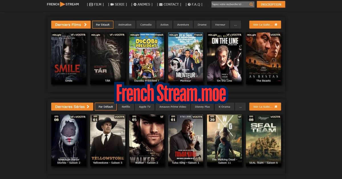 What is French Stream?