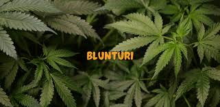 Where Can You Find Blunturi?