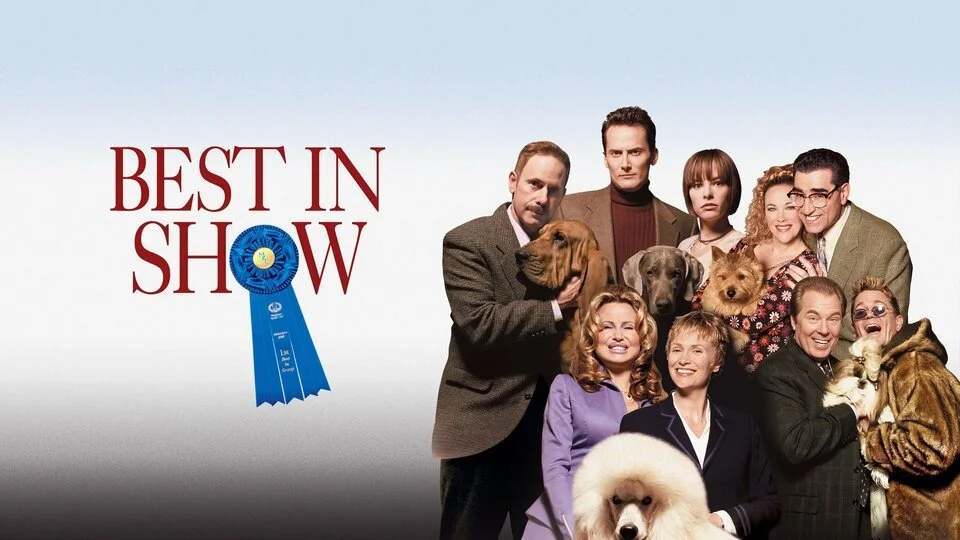 Tips for finding the Best in Show based on personal preferences and interests